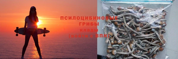 PSILOCYBIN Мегион
