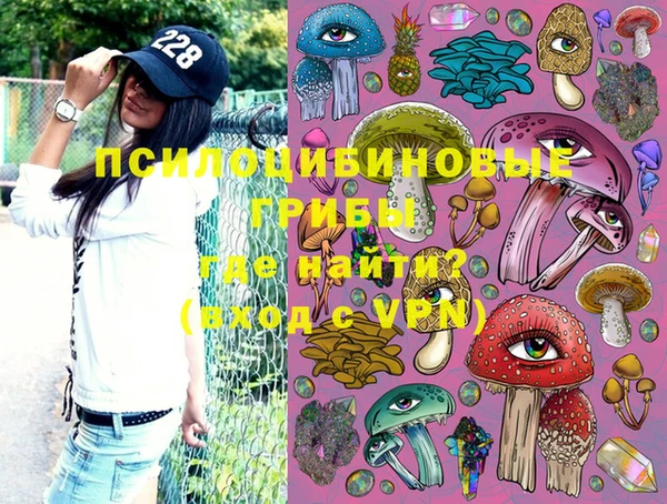 PSILOCYBIN Мегион
