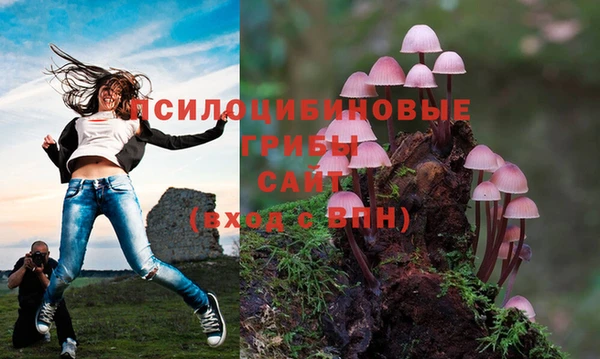 PSILOCYBIN Мегион