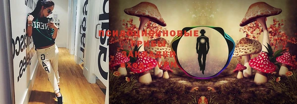 PSILOCYBIN Мегион