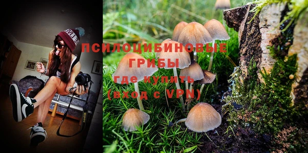 PSILOCYBIN Мегион