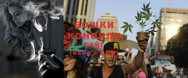 PSILOCYBIN Мегион