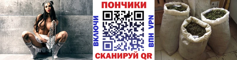 МАРИХУАНА семена  Чернушка 
